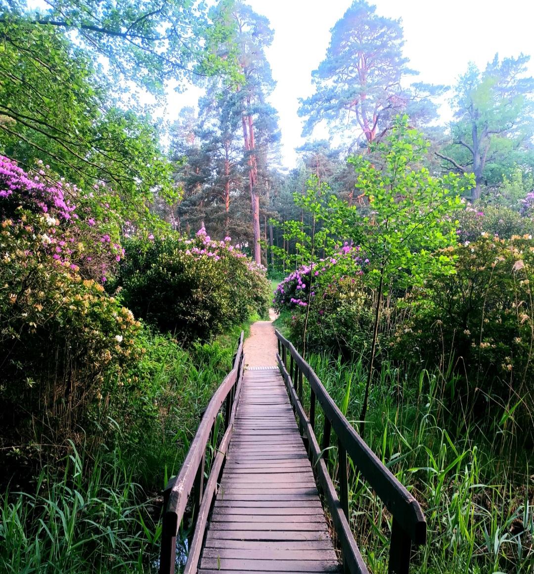 Brücke Zum Selbstwert