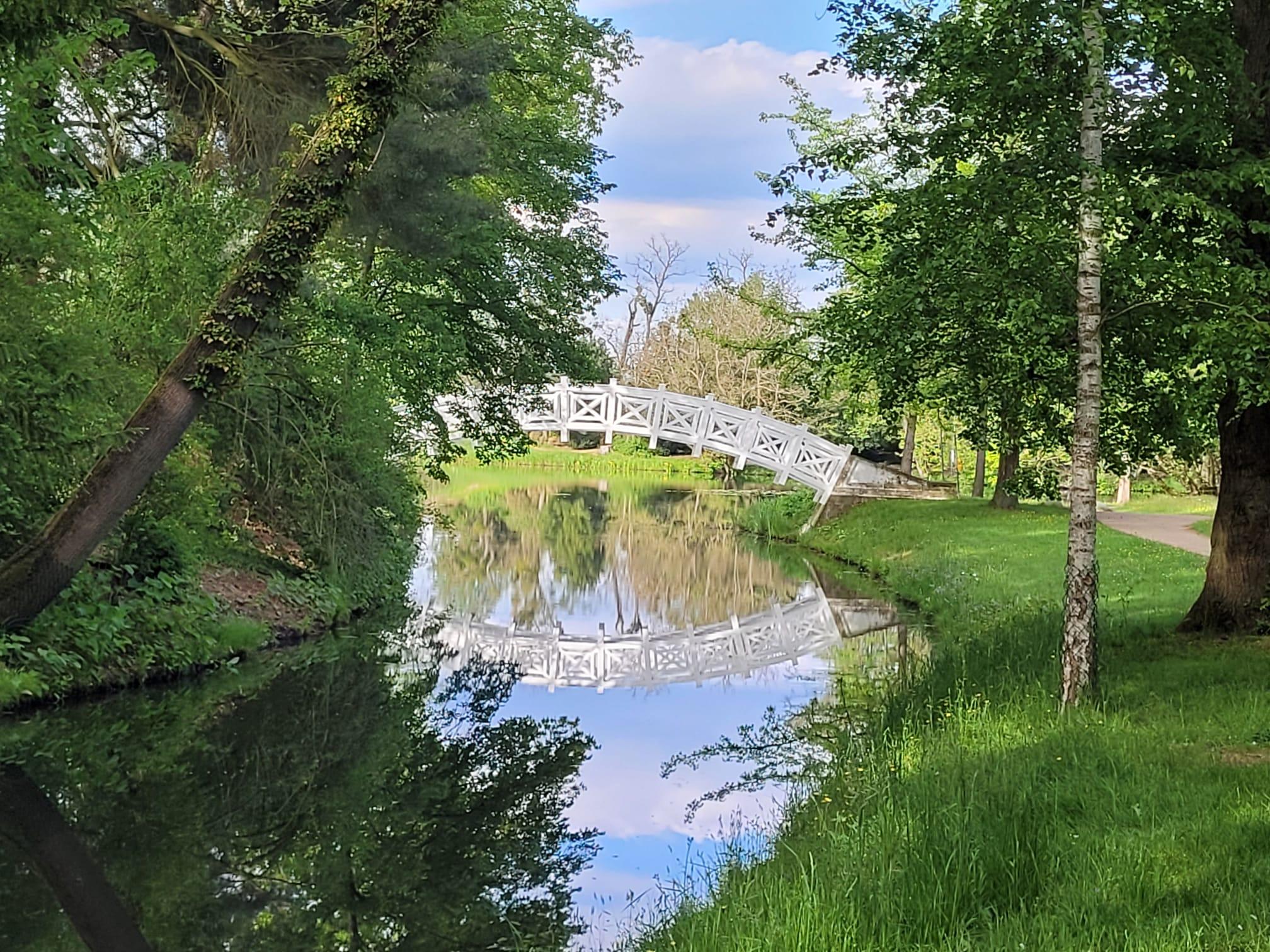 Brücke Zur Emotionsregulation
