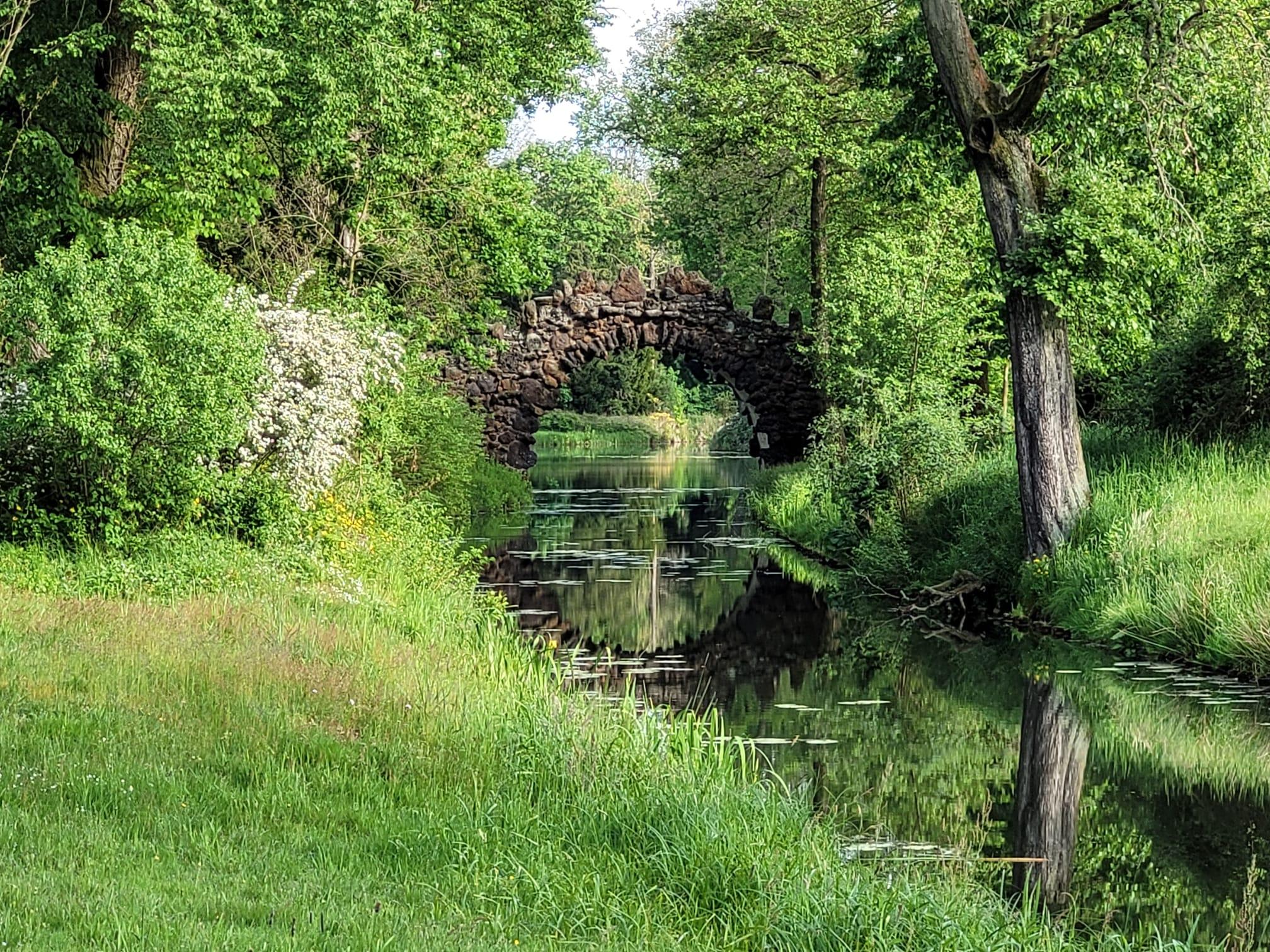 Brücke Zur Resilienz