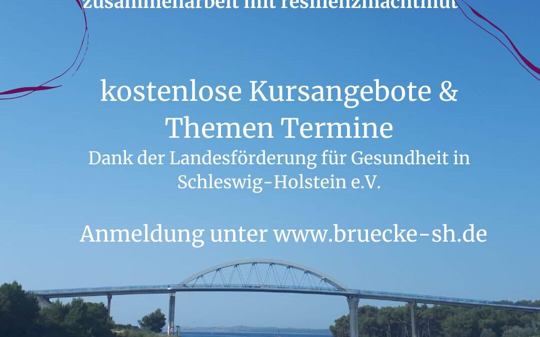 Brücke Ins Netz Kachel